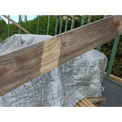 Skuteczny Preparat Przeciwko Siniznie Drewna - przeciw sinicy drewna, sinizna drewna