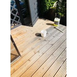 Skuteczny Preparat Przeciwko Siniznie Drewna - przeciw sinicy drewna, sinizna drewna