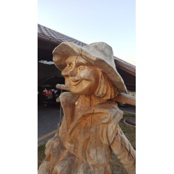 Skuteczny Preparat Przeciwko Siniznie Drewna - przeciw sinicy drewna, sinizna drewna