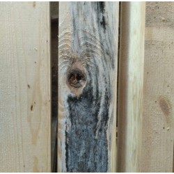 Skuteczny Preparat Przeciwko Siniznie Drewna - przeciw sinicy drewna, sinizna drewna