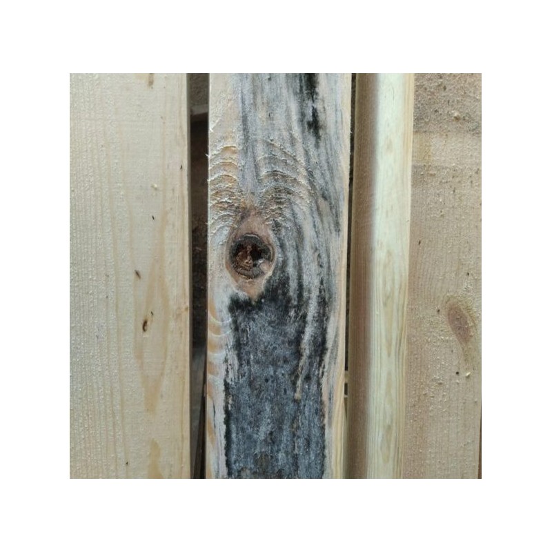 Skuteczny Preparat Przeciwko Siniznie Drewna - przeciw sinicy drewna, sinizna drewna