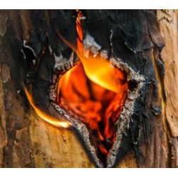 Ekologiczna Świeca Ogrodowa w Formie Pniaka - Idealna na Ognisko