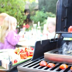 HAGENATUREN Skrzynka Wędzarnicza ze Stali Nierdzewnej z Brykietem + 2 Rożny - Mycie w Zmywarce